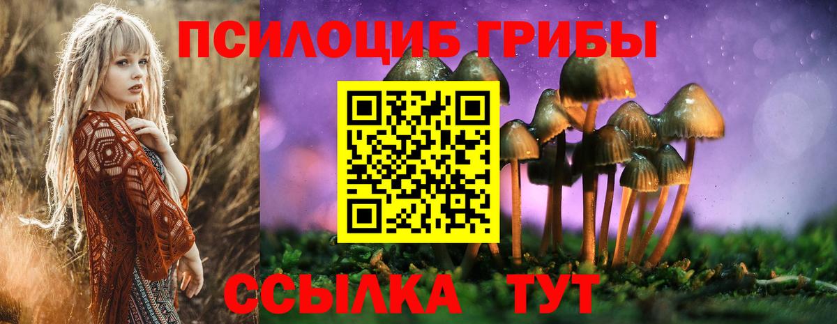 Псилоцибиновые грибы Psilocybe  Псилоцибиновые грибы Cubensis  Сердобск  Вход с VPN 
